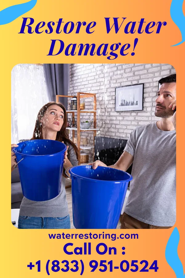 water restoration Advanced Extraction Experts Laflin