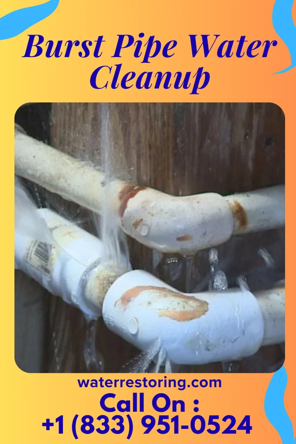 Burst Pipe Water Cleanup in Laflin, PA