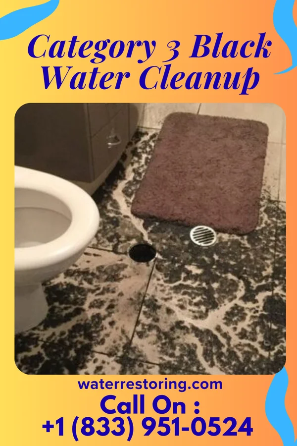 Category 3 Black Water Cleanup in Laflin, PA