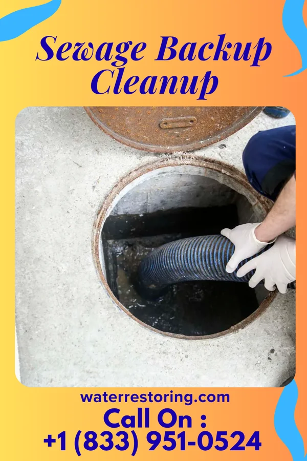 Sewage Backup Cleanup in Laflin, PA